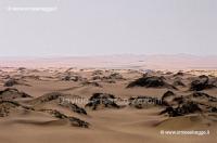 Dune e Salicornia 50-19-08